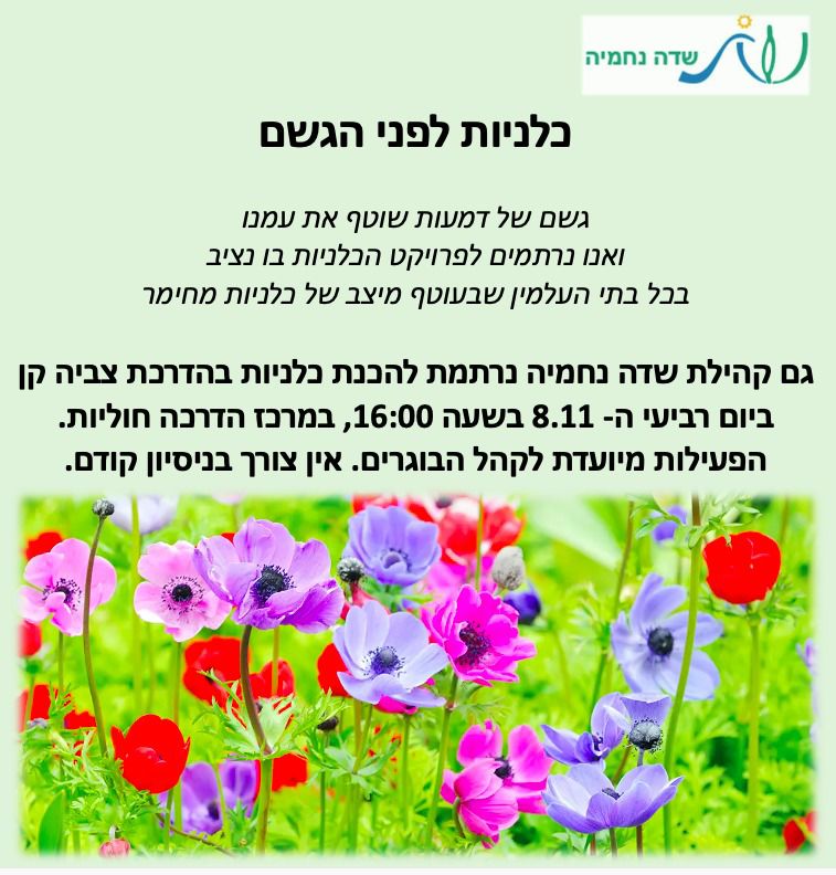 כלניות לפני הגשם - סדנת קרמיקה - צביה קן -7.jpg