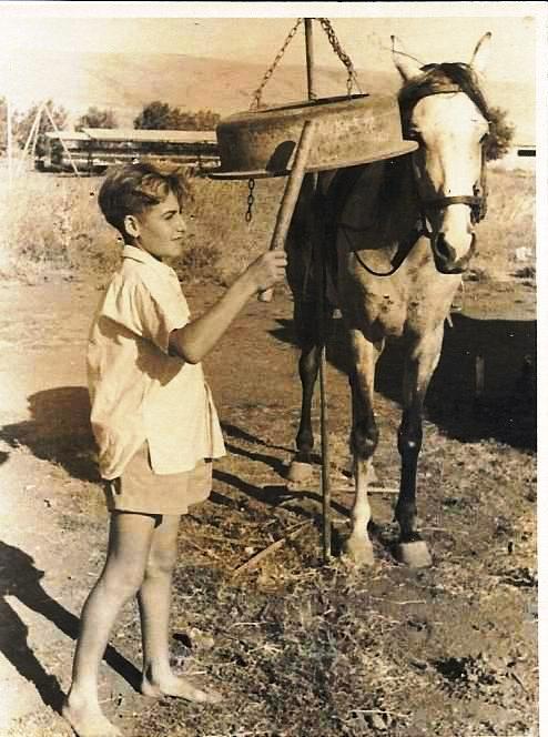 לחוליות -.jpg