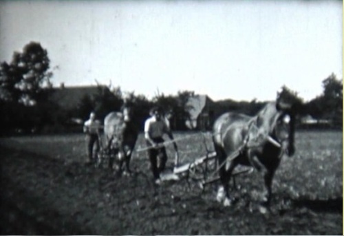 ציר זמ - 1934 (36-38) אפי פרום חורש - מתוך הסרט על ההכשרה בהולנד .jpg ציר זמ - 1934 (36-38) אפי פרום חורש - מתוך הסרט על ההכשרה בהולנד .jpg