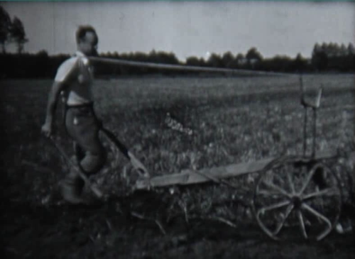 ציר זמ - 1936 מסרט הכשרה בהולנד אולי מוטקה רפפורט.png ציר זמ - 1936 מסרט הכשרה בהולנד אולי מוטקה רפפורט.png