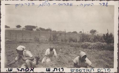 ציר זמ - 1937 גדר המחנה, מרים חאודסמיט, רות שלח, אסתר שהם.jpg ציר זמ - 1937 גדר המחנה, מרים חאודסמיט, רות שלח, אסתר שהם.jpg