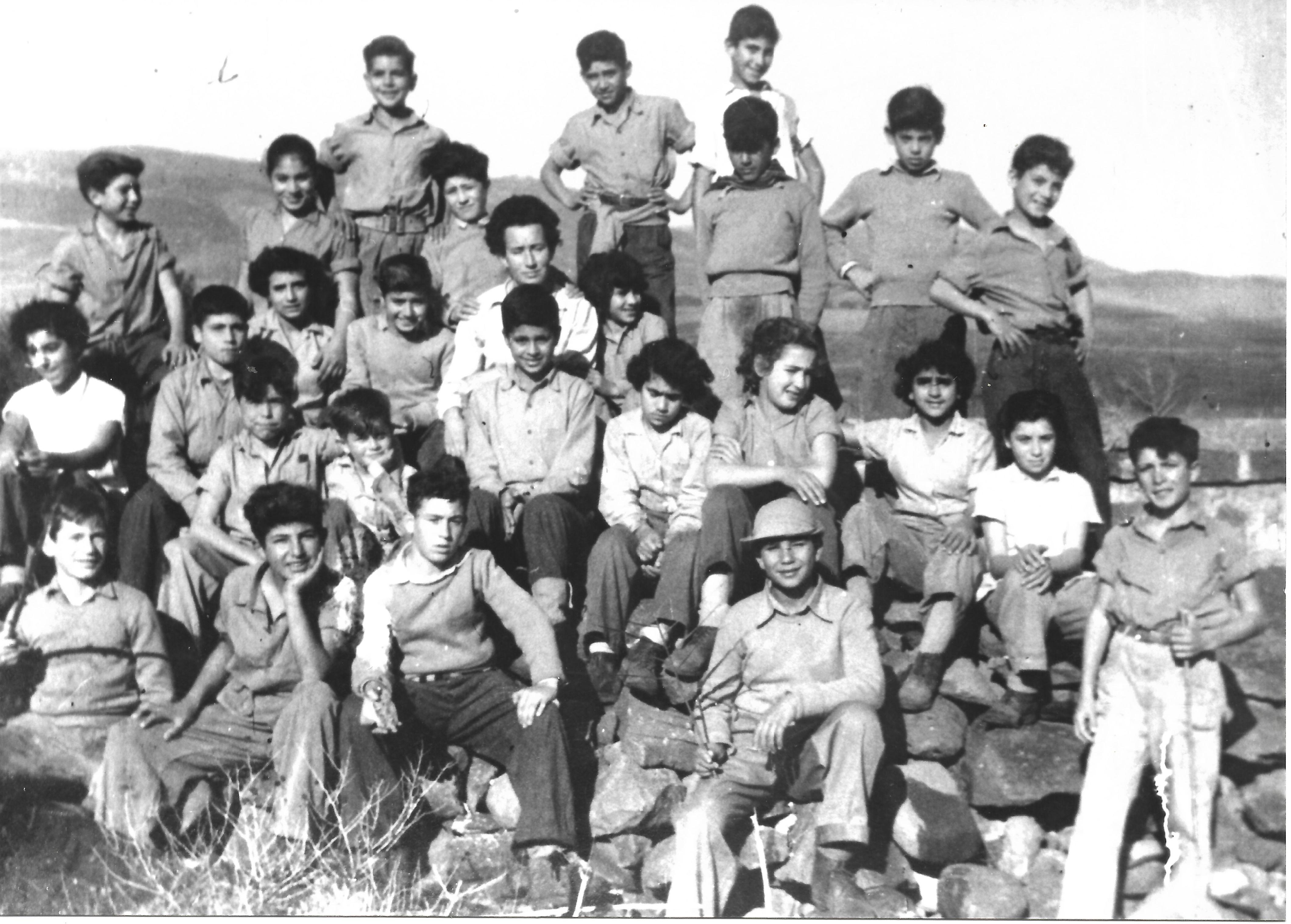 1.תמונת הגורים בגיל  בית ספר.jpg