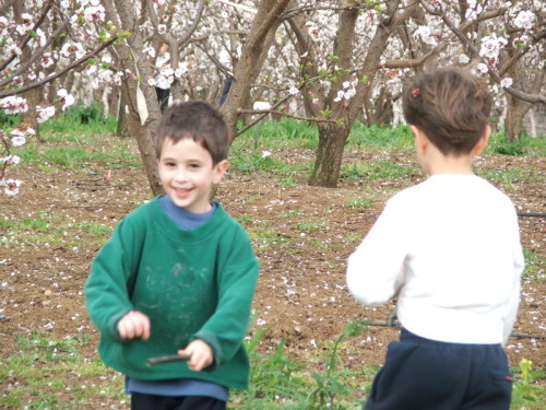 1009_חינוך - גן שיטה  מטעים בפריחה 2005 - 078.JPG