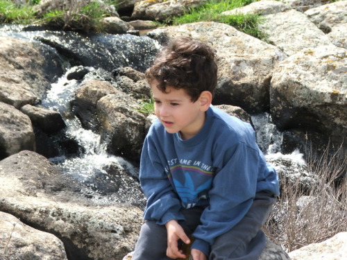 1011_חינוך - גן שיטה טיול 2005 - 090.JPG