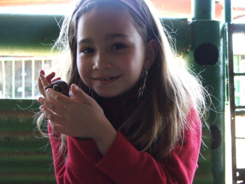 1059_חינוך - גן שיטה טיול לבת יער 2005 - 010.JPG