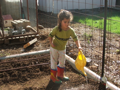 1095_חינוך - גן שיטה עם סבתא חוה שלזינגר - 2005 - 1237.JPG
