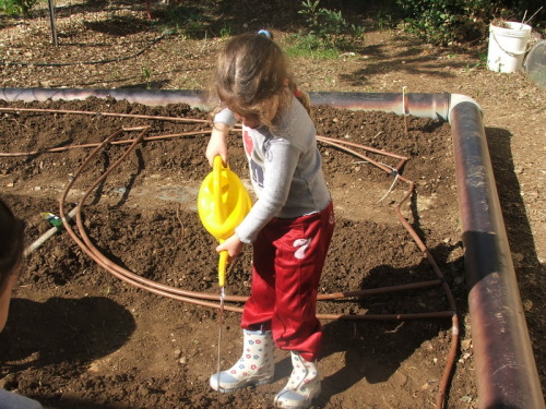 1098_חינוך - גן שיטה עם סבתא חוה שלזינגר - 2005 - 1251.JPG