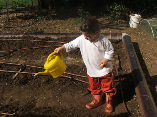 1103_חינוך - גן שיטה עם סבתא חוה שלזינגר - 2005 - 1262.JPG