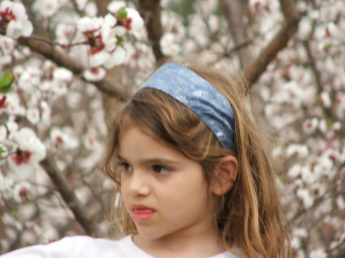990_חינוך - גן שיטה  מטעים בפריחה 2005 - 044.JPG