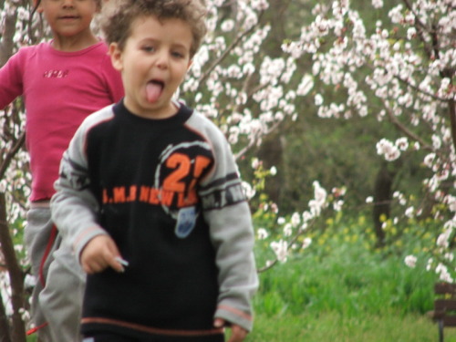 992_חינוך - גן שיטה  מטעים בפריחה 2005 - 048.JPG