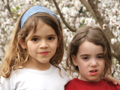 994_חינוך - גן שיטה  מטעים בפריחה 2005 - 052.JPG