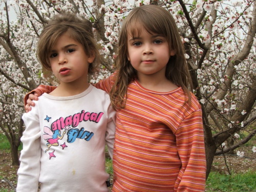 995_חינוך - גן שיטה  מטעים בפריחה 2005 - 053.JPG