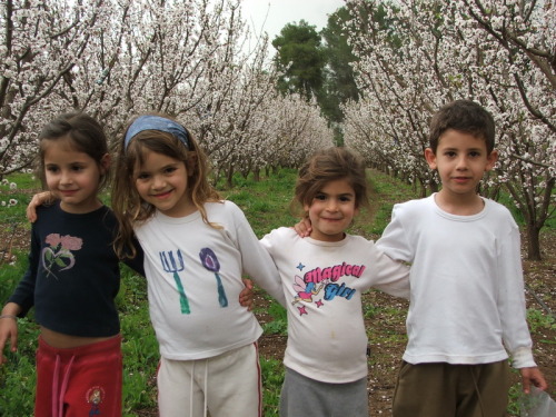 997_חינוך - גן שיטה  מטעים בפריחה 2005 - 055.JPG