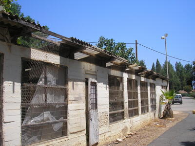 הריסת הלול האצריקאי אוגוסט 05-08-2012 - לפני ההריסה- צילם צבי אליאש.JPG