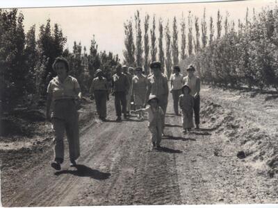 מצילומי אברהם גרצר - חגים ואירועים - 3. גיוס במטע.jpg