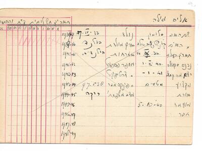 נטעים - כרטיסי חבר - אליס גילה.jpg