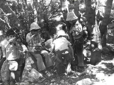 קבוצת שקד - 130. שמורת החולה.jpg