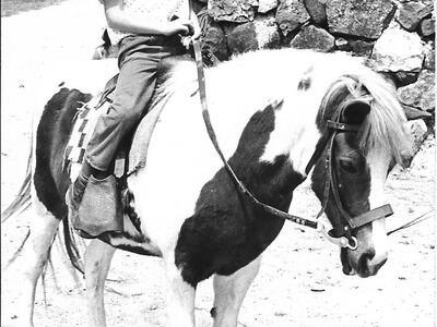 קבוצת שקד - 95. נופר קידר בחוות ורד הגליל 1974.jpg