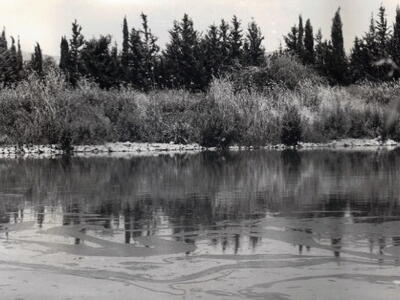 1500_הנפט זורם לירדן 1969.jpg