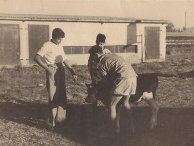 2328_7.1. X_ בן ציון.jpg