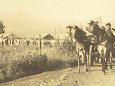 493_חג הביכורים - פנורמה   1947.jpg