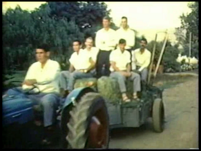 8195_חתנים בדרך לחופה אחי בר לוי גדעון שלח מרדכי פימנטל נהג.png