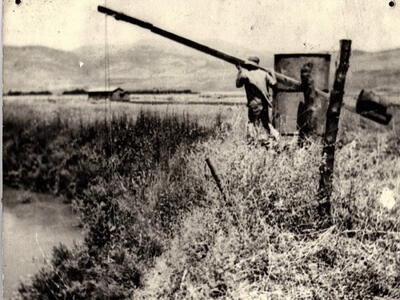 1941