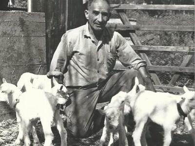 1955