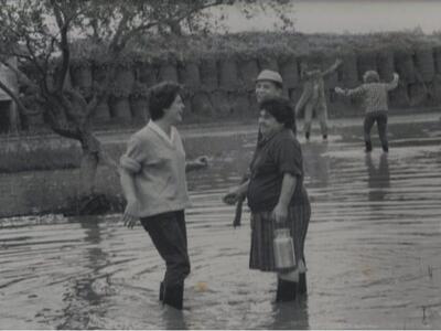1963