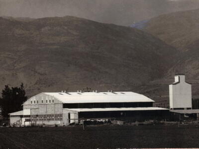 1964