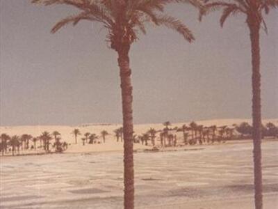1978