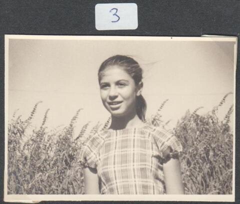 כלנית אלבום 2 - 3 רבקה ברכמן.jpg