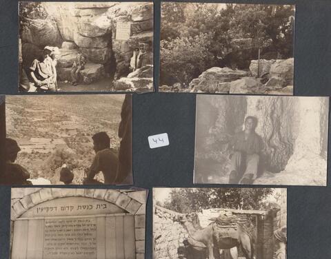 כלנית אלבום 3 - 44.2.jpg